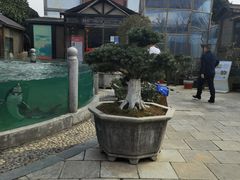 -天怡·鱼工厂(临江店)