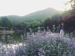 -北京宽沟会议中心