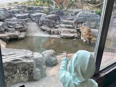 -深圳野生动物园