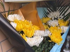 -平吉花卉市场
