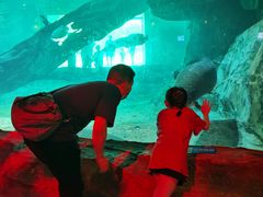 -华夏文旅海洋公园