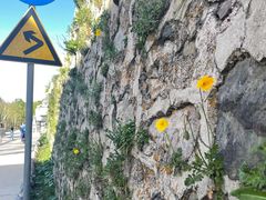 -白草畔自然风景区