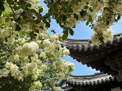 -常熟方塔园