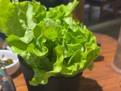 -九田家黑牛烤肉料理(新辰里亚运村店)