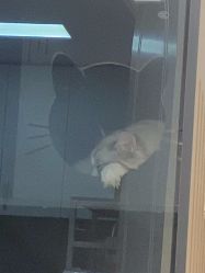 点击看大图 -花系美·美甲美睫精品店