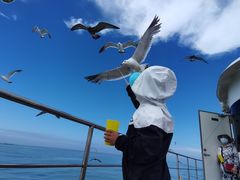 -海驴岛(荣成市)