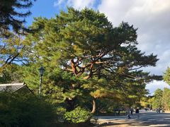 -京都御所