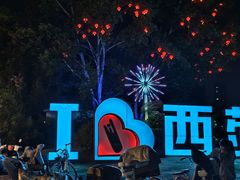 -西苑公园