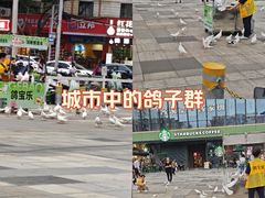 -江燕路万科里