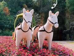 -广州莲花山旅游区