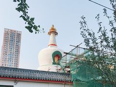 -西塔
