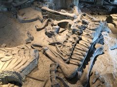 -自贡恐龙博物馆