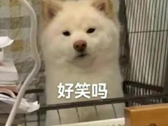 -杨厝六十六农庄农舍(杨厝路店)