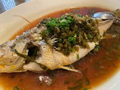清蒸鲥鱼-苏浙汇(朝外店)