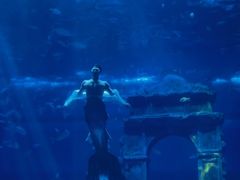 -南昌融创海世界
