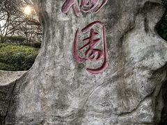 -重庆彩云湖湿地公园