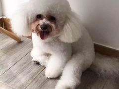 -中农大我爱我爱24h动物医院·中医针灸·猫专科·骨科医疗中心(双井店)