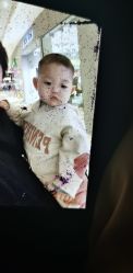 -阿朵拉儿童发型设计