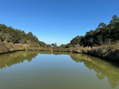 -鼓岭旅游度假区