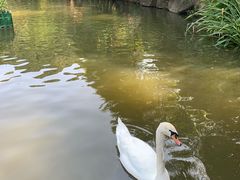 -呀诺达热带雨林