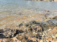 -兴城海滨风景区