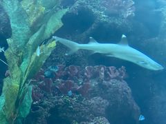 -鸿通城购物中心