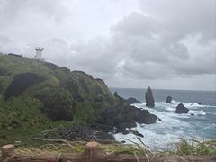 -涉地可支