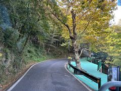 -莫干山风景区