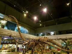 -自贡恐龙博物馆