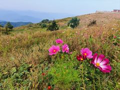 -妙峰山风景名胜区