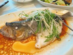 -沪华海鲜大酒楼(南汇店)
