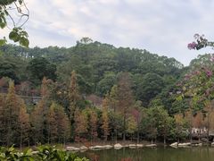 -广州市帽峰山景区