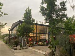 -桉树林A coffee 森林餐厅(三圣乡店)