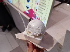 -野人先生现做冰淇淋(西安赛格店)