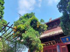 -洛阳白马寺