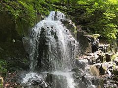 -本溪汤沟绿石谷森林公园