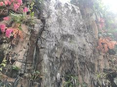 -正佳雨林生态植物园