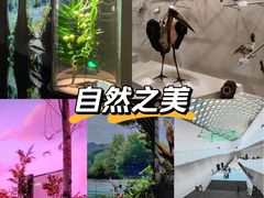 -中国湿地博物馆