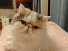 -MEETOWN美糖烘焙(凯德MALL店 )