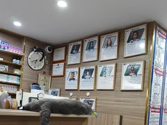 -严国平动物医院(德政总院)