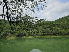 -广州白江湖森林公园