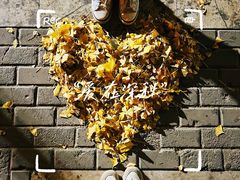 -北京市海淀区民政局婚姻登记处