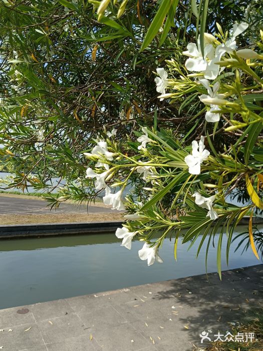白塘生态植物园图片