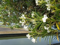 -白塘生态植物园