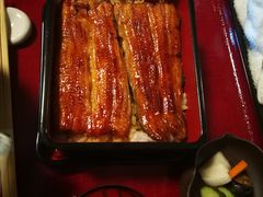 -料亭菊水楼
