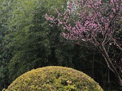 -望江楼公园