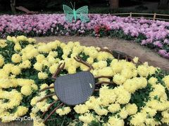 -汇龙潭