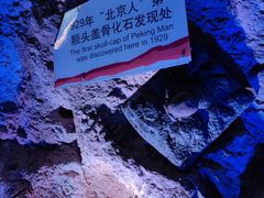 -周口店北京人遗址公园