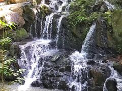 -呀诺达热带雨林