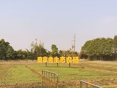 -迪茵湖田家舍生态农场